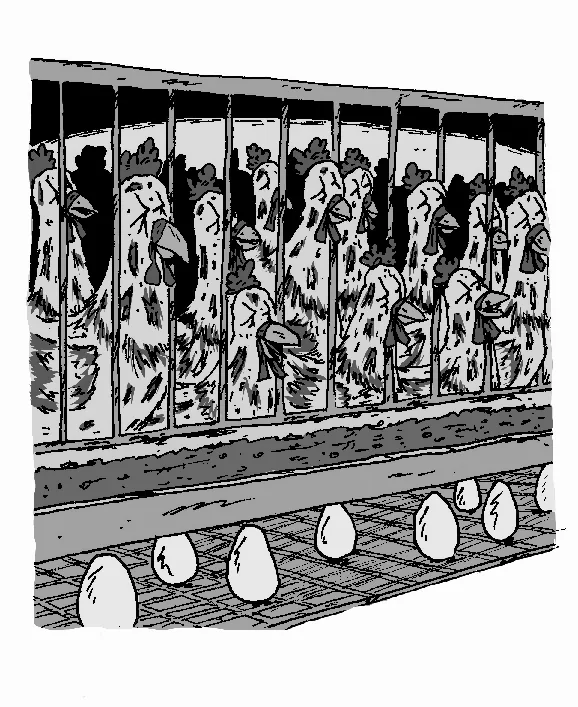 Illustration intérieure de Chez Poulardon — 3