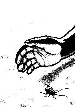 Illustration intérieure de Mon HLM — 3
