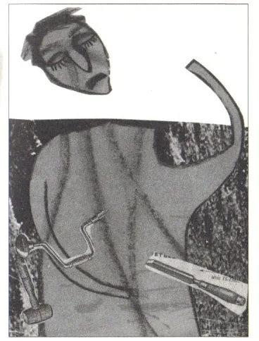 Illustration intérieure de Robin des Bois-Blancs — 3